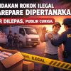 Penindakan Rokok Ilegal di Parepare Dipertanyakan, Sopir Dilepas Publik Curiga